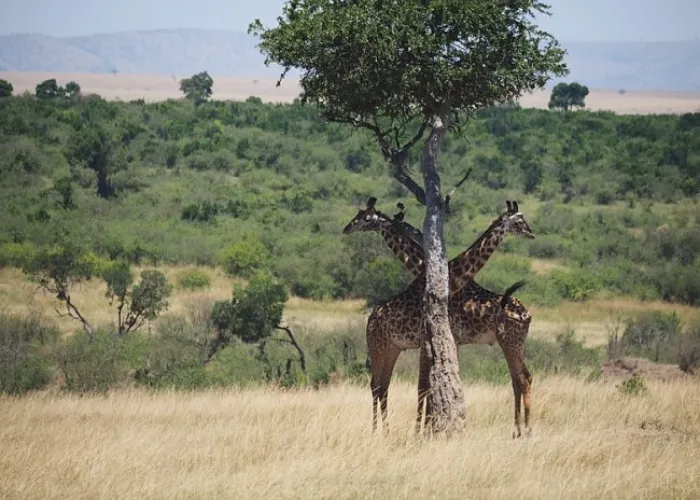 Chyulu Hills National Park